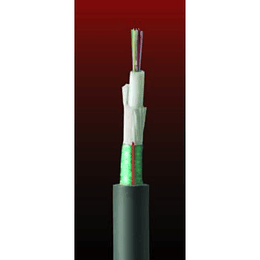 Cable Fibra Óptica  04x10 DSP01 TIA 598