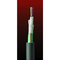 Cable Fibra Óptica  24x10 DSP01 TIA 598 / G652D