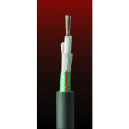 Cable Fibra Óptica  24x10 DSP01 TIA 598 / G652D