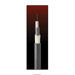 Cable Fibra Óptica  24x10 TDT01 - TIA 598 / G652D
