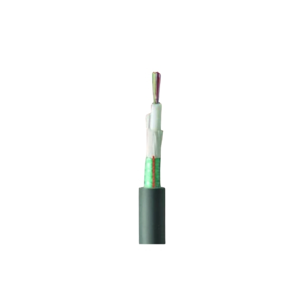 Cable Fibra Óptica  04x10 DSP01 TIA 598 1