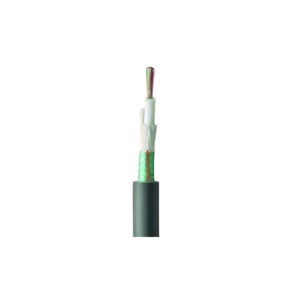 Cable Fibra Óptica  24 X10 DSP01 1