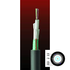 Cable Fibra Óptica 12x10 DSP01- TIA 598 / G652D - 10G 1mts