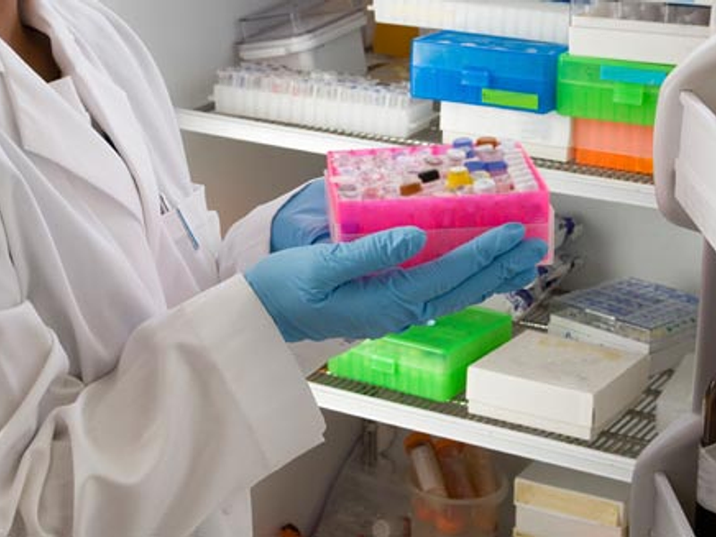 Soluciones de Control Ambiental Sanitario