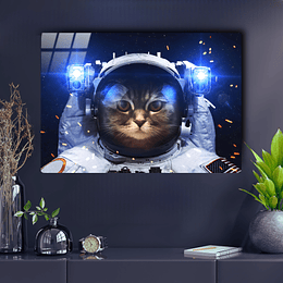 Gato Astronauta
