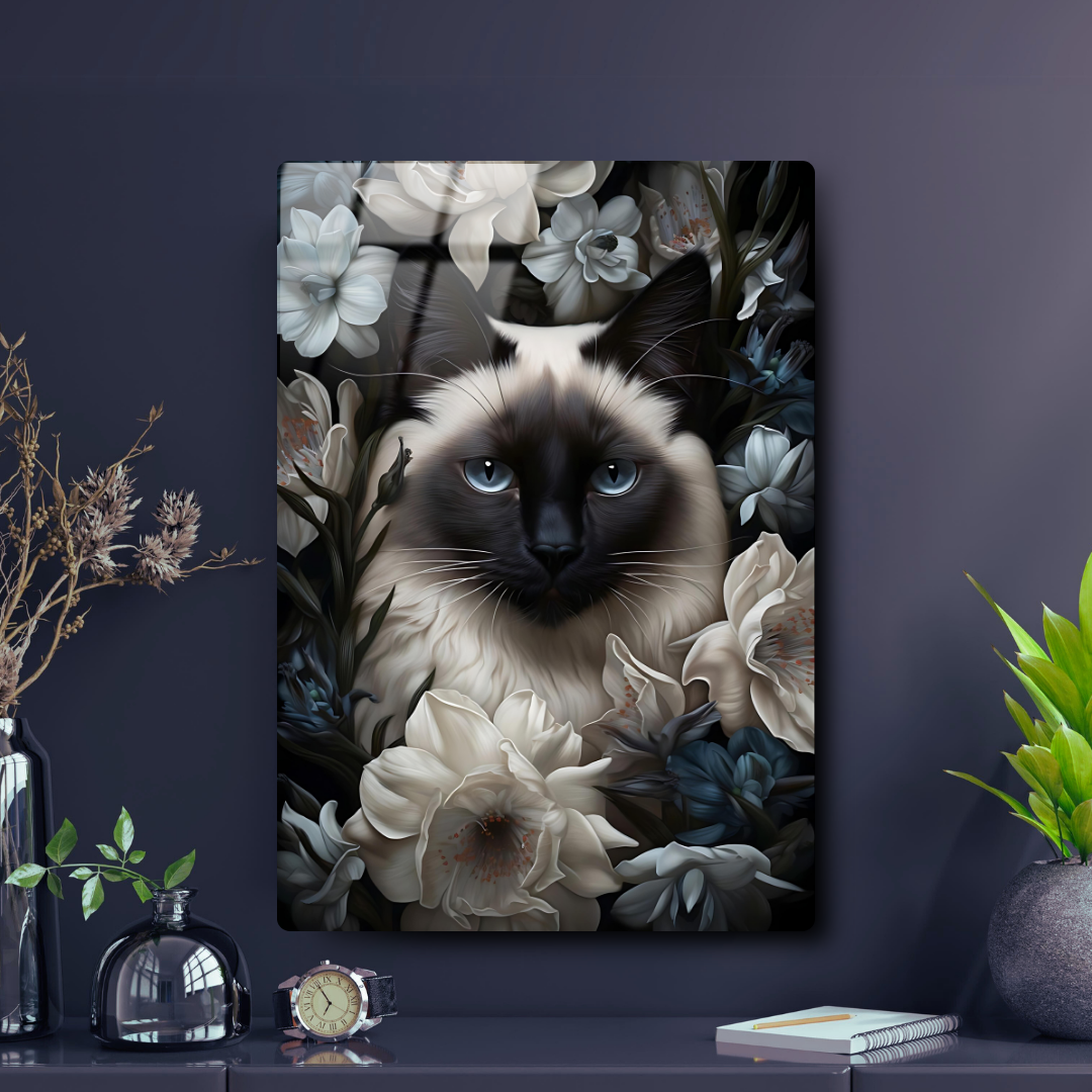 Gato