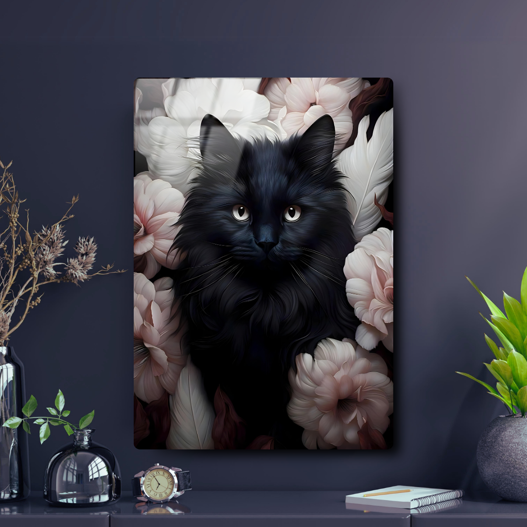 Gato