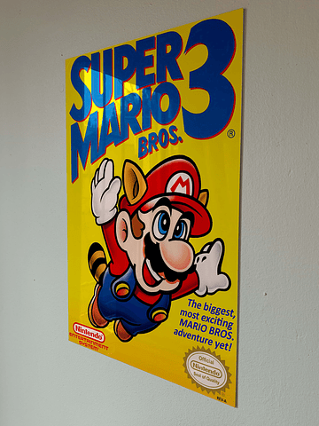 Super Mario Bros 3