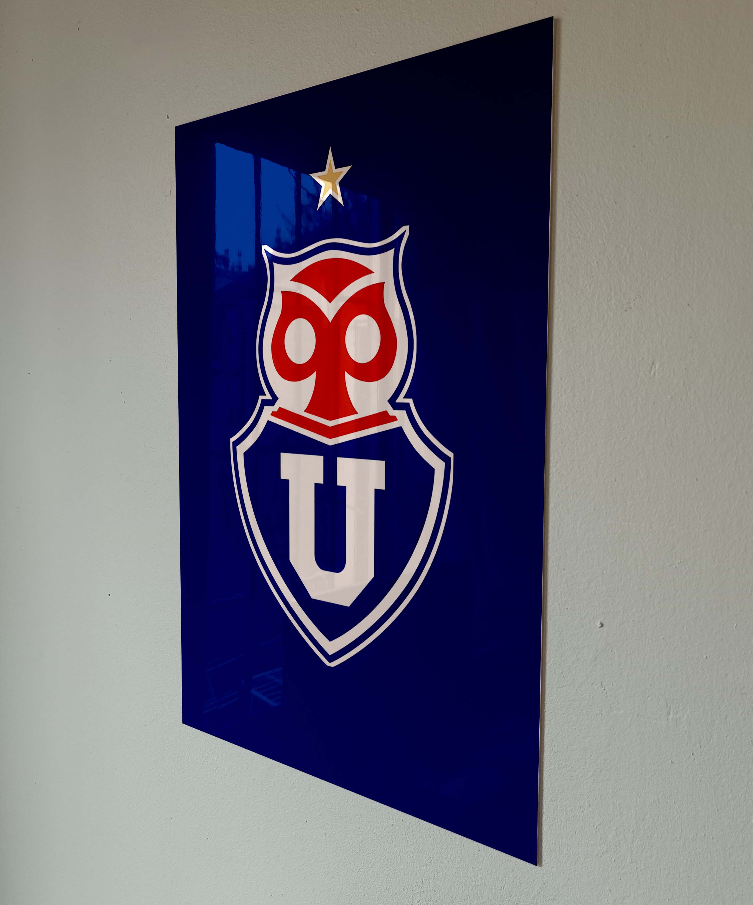 Universidad de Chile