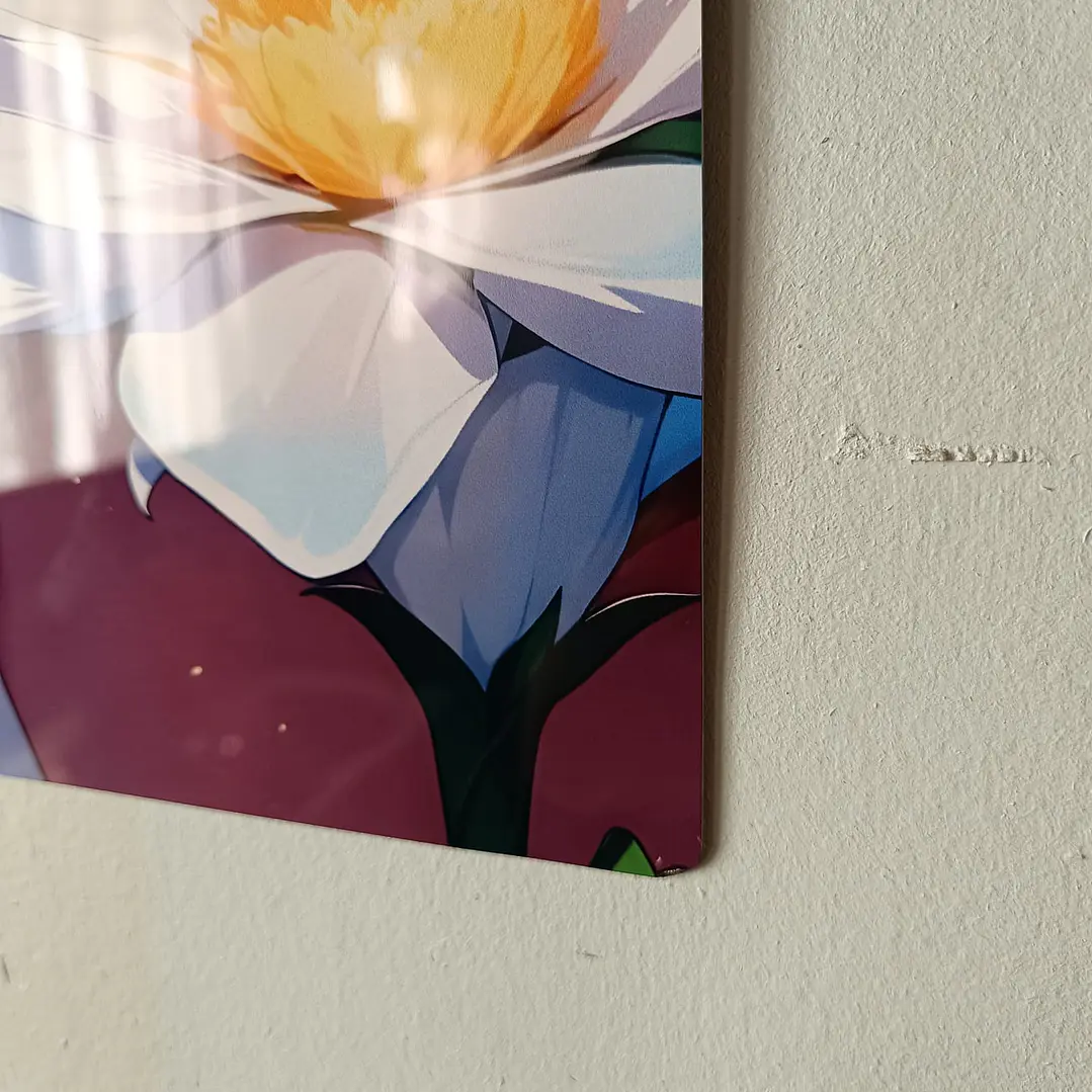 Maomao Mega Oferta 30x40 3
