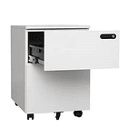 Cajonera Metálica - 2 Cajones 3