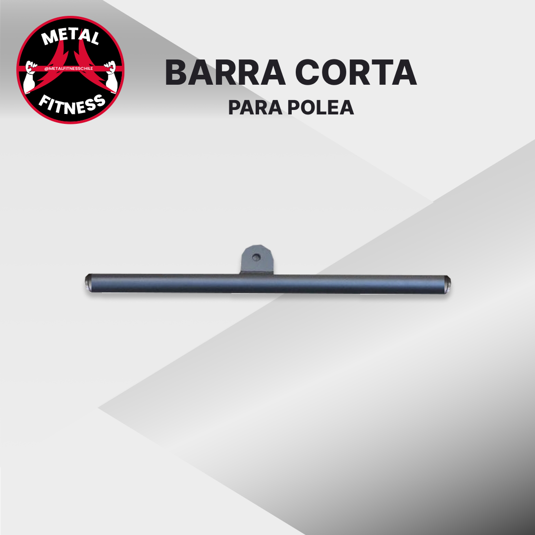 Barra Dorsal Polea Gym