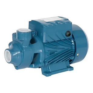 Bomba De Agua Periferica 0.5hp 1 X 1 Qb60 Monofásica