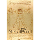 El Hombre de Vitruvio 1