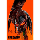 Predator 1