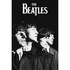 The Beatles 1