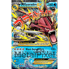 Pokémon: M Gyarados EX  1