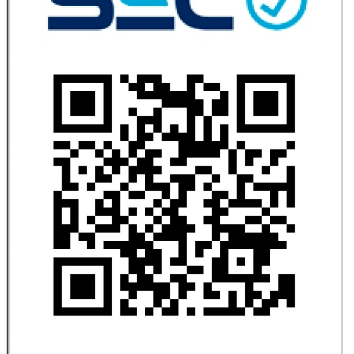 CALEFACTOR CONVECTIVO MURAL GT-4000 2