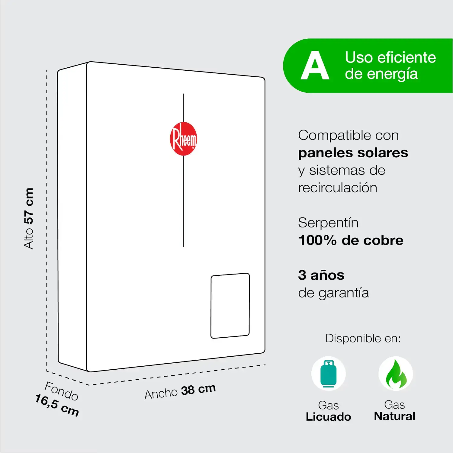 Calefon 21 Litros Gas Natural Tiro Forzado con Control Rheem 4
