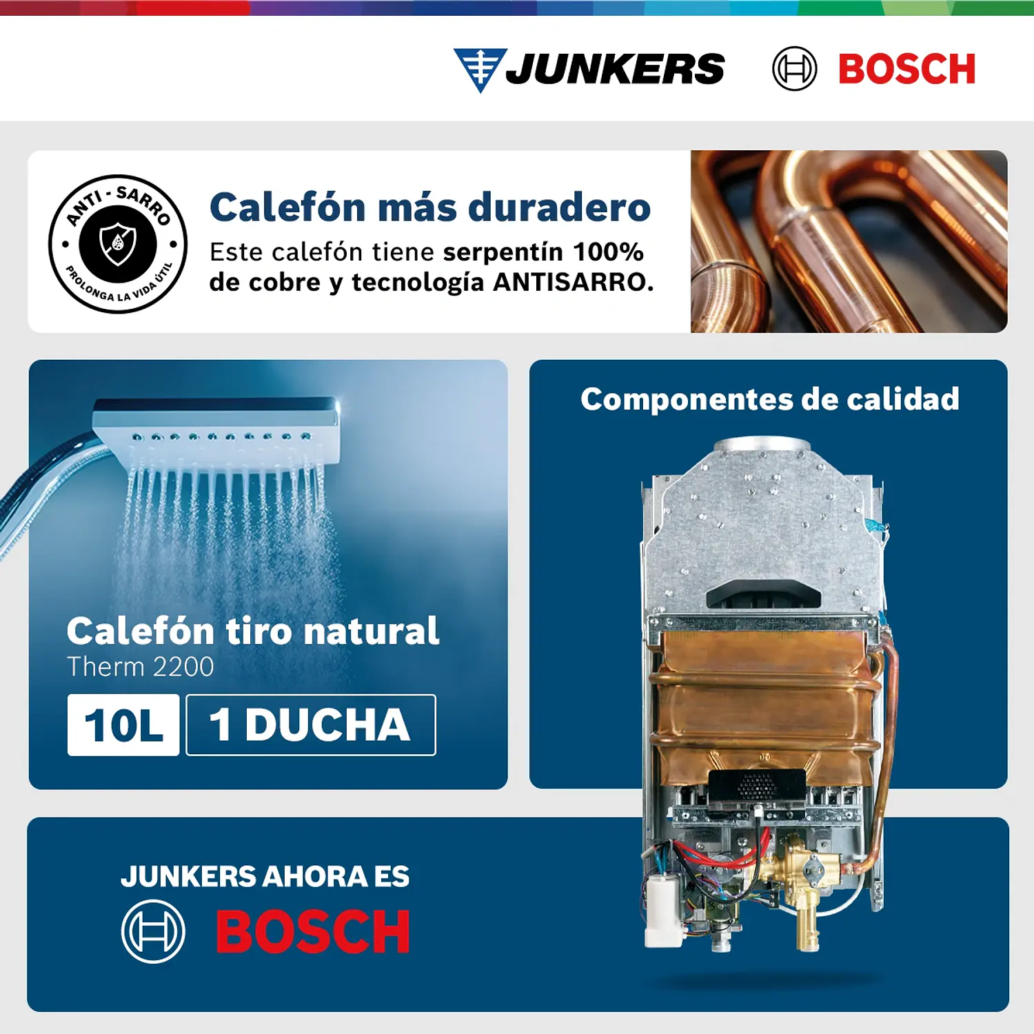Calefón ionizado 10 litros gas natural Therm 2200   3