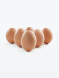 Demo - Huevos - Miniatura 2