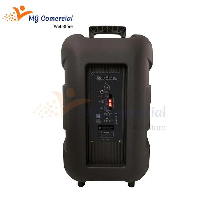 PARLANTE FLAMINF AMBIGLOM 12+TRIPODE 3