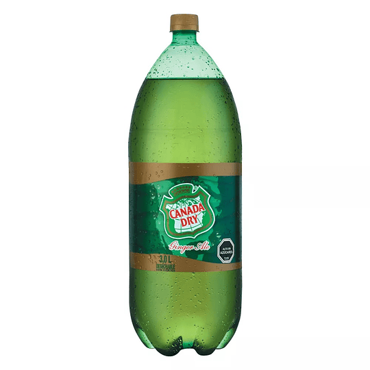 Ginger Ale Canada Dry 3L