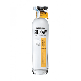 GIN RAW BOTANICAL SPIRITS 700cc 