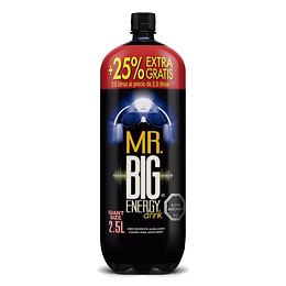 MR BIG 2.5 LT