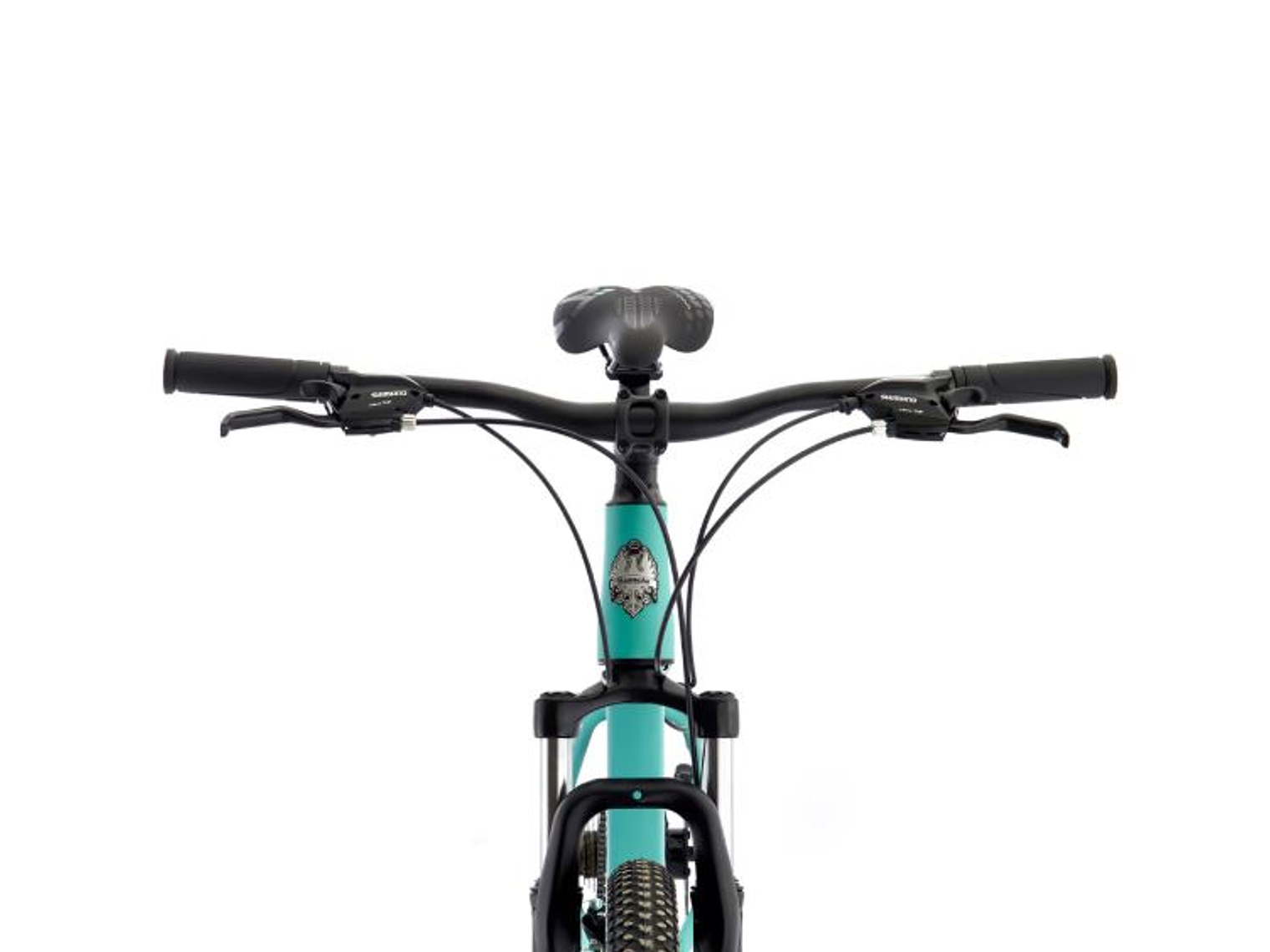 Bianchi Stone Mountain 29 SX Alloy M – Bicicleta MTB Celeste 3