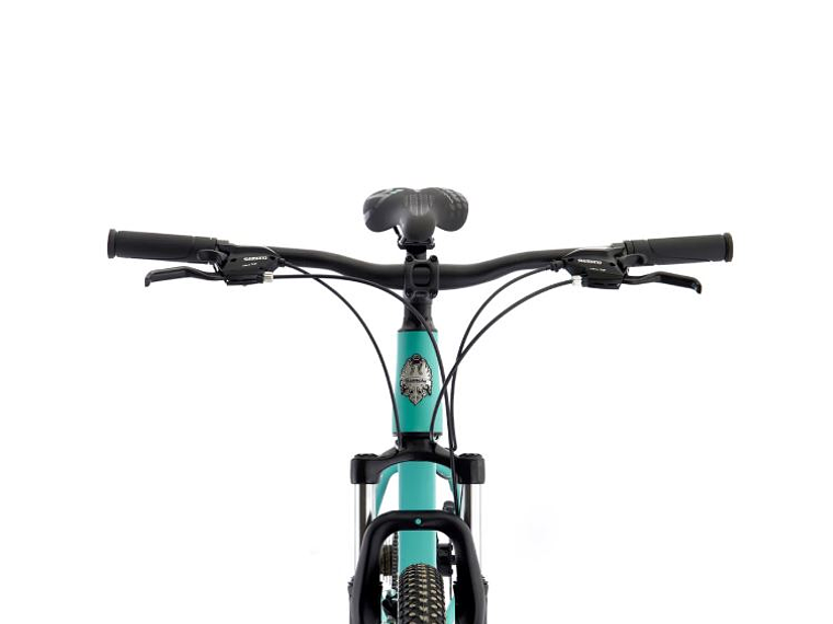 Bianchi Stone Mountain 29 SX Alloy M – Bicicleta MTB Celeste 3
