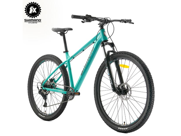 Bianchi Aggressor 29 SX R9.1 – Bicicleta MTB Celeste 1x9 2