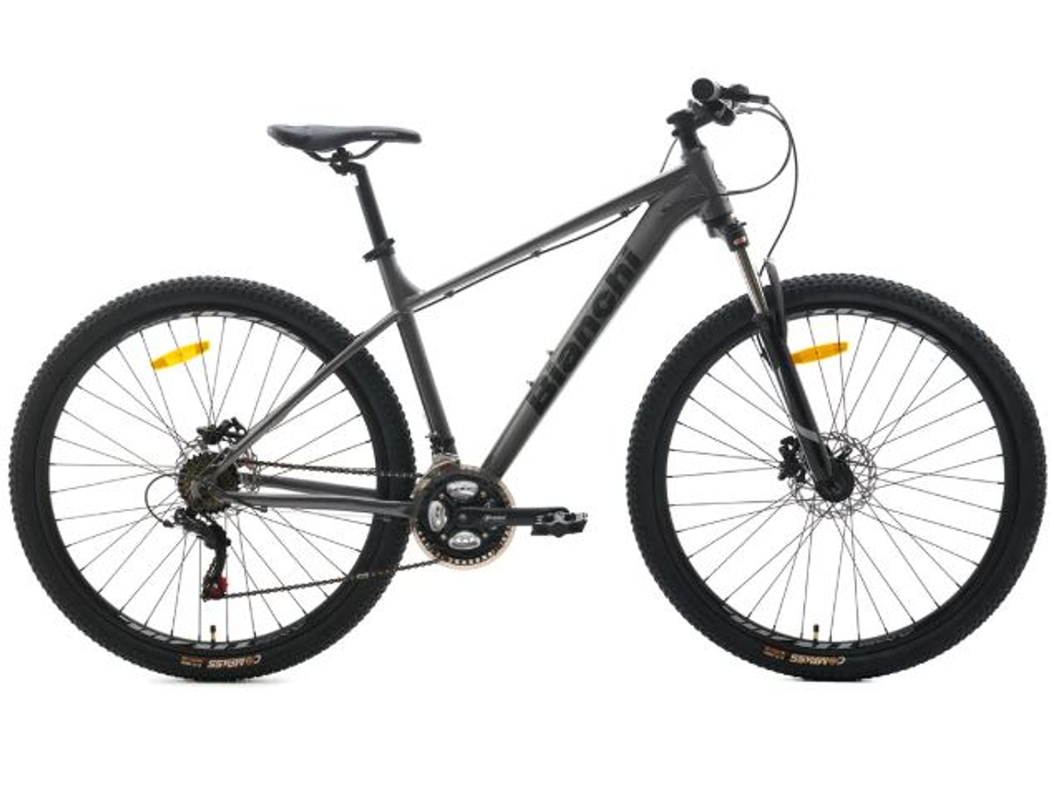 Bianchi Stone Mountain 29 SX R9.1 – Bicicleta MTB Gris Metálico 1x9 1