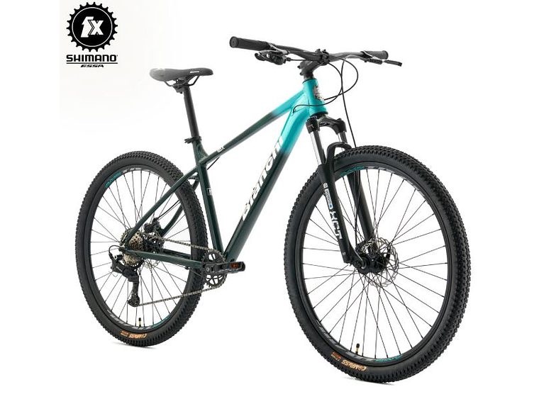 Bianchi Aggressor 29 SX ESSA – Bicicleta MTB Verde 1x8 2