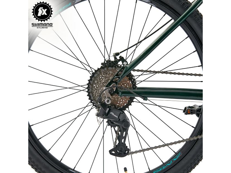 Bianchi Aggressor 29 SX ESSA – Bicicleta MTB Verde 1x8 5
