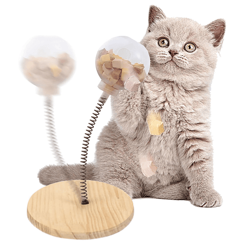 Pelota Viva Para Gato Paquete De Juguetes Interactivos Para