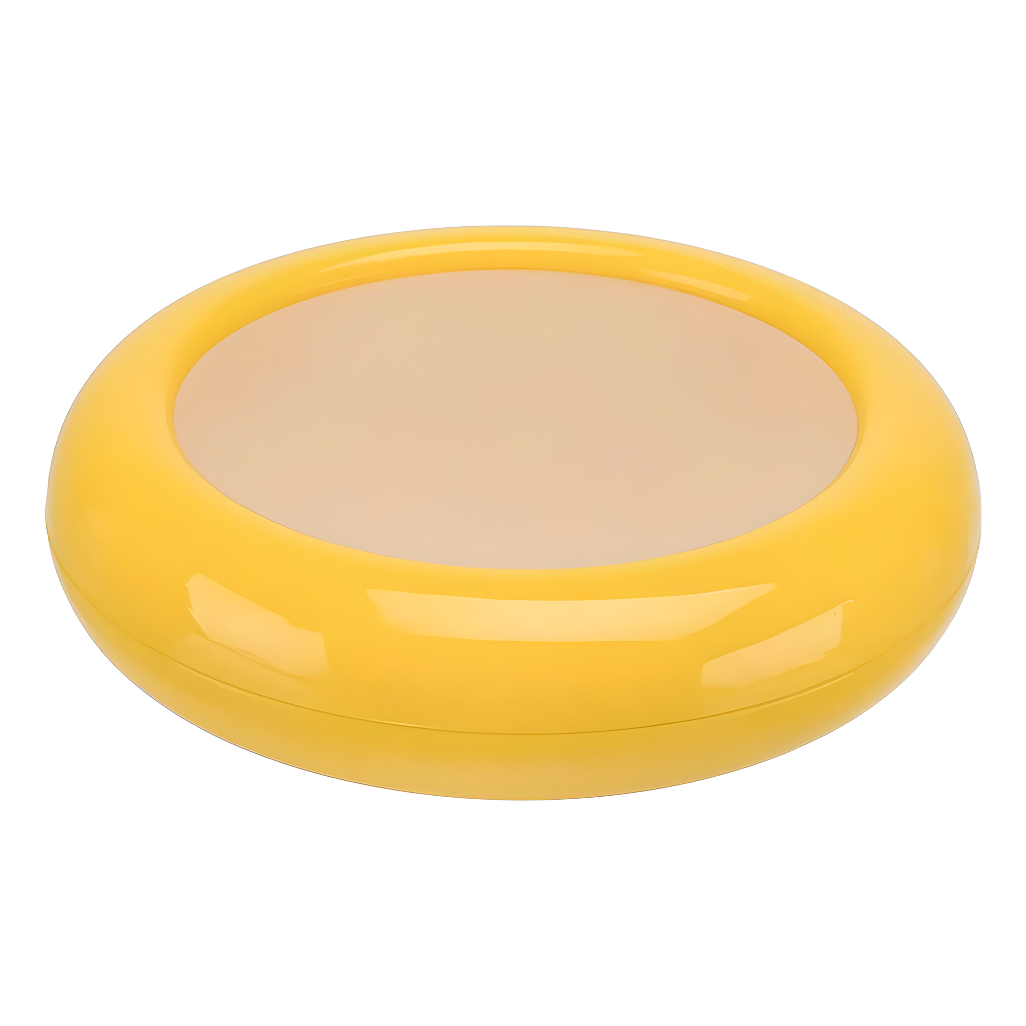 Conservador contenedor Alimento hermético Refrigerador Limón 2