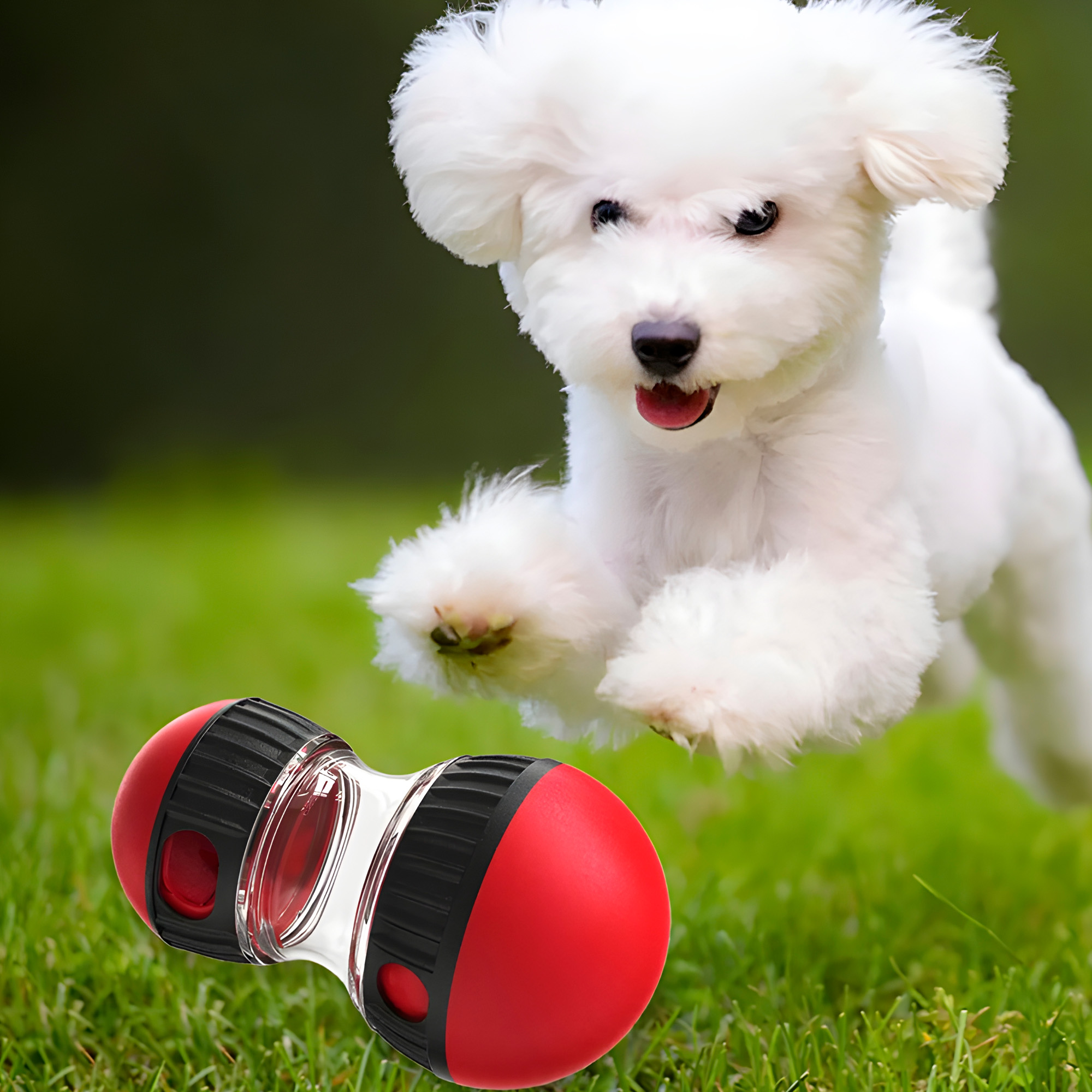 Juguete Perro Mascota Interactivo Dispensador Alimento Giratorio 3