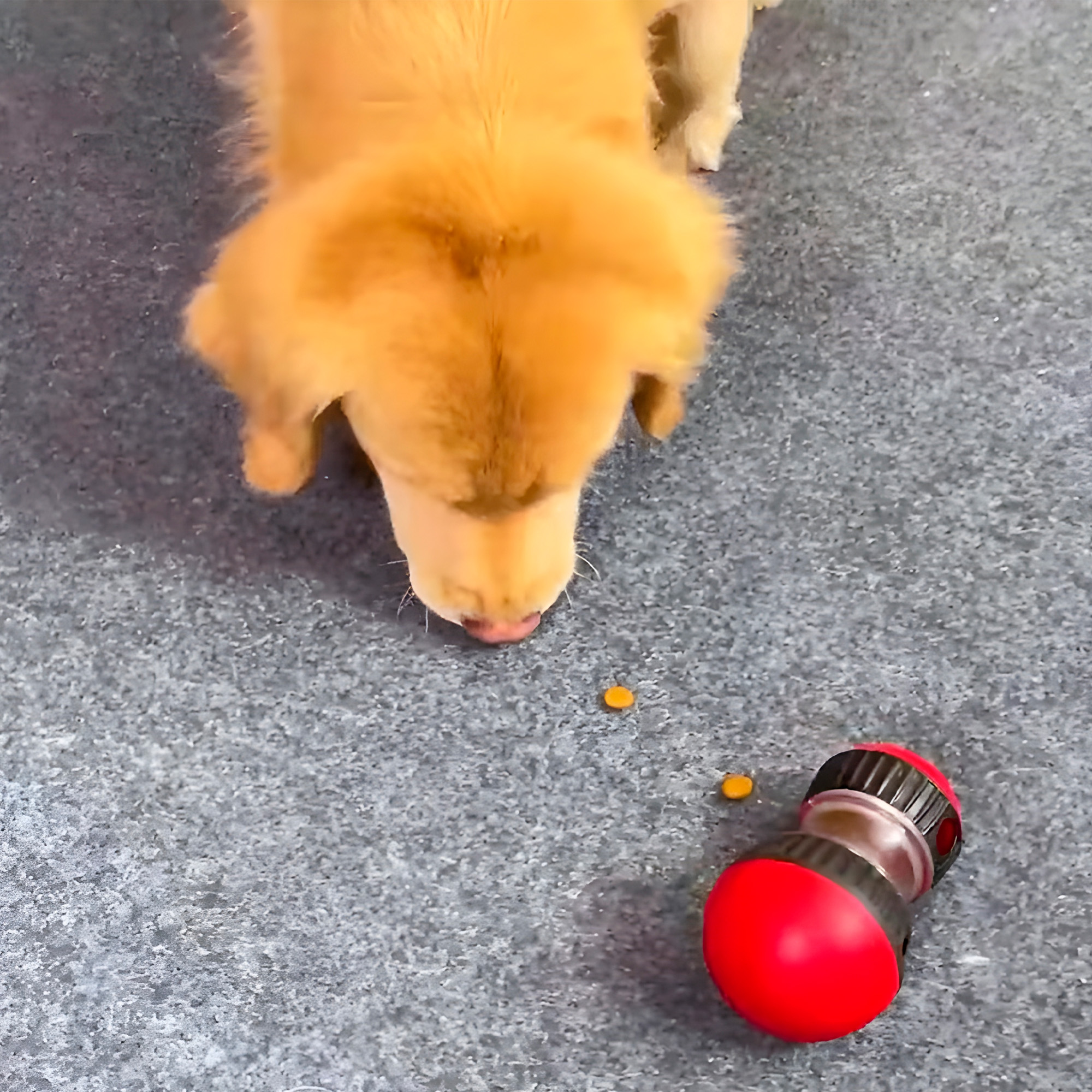 Juguete Perro Mascota Interactivo Dispensador Alimento Giratorio 10