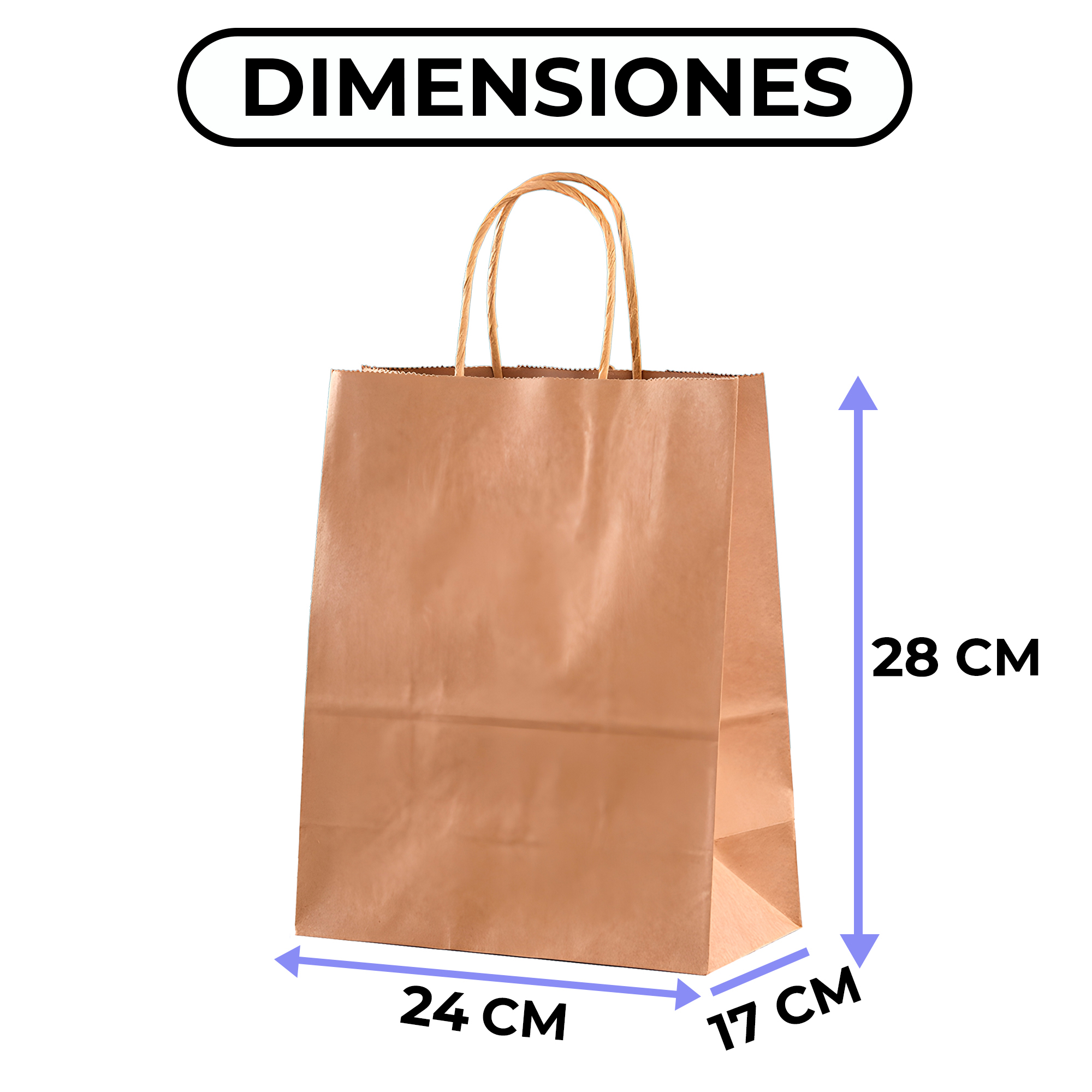 Bolsa Papel Kraft Ecológica Color Marrón 24X17X28 CM 2