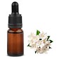 Aromas Esencias Para Velas de Soja y Parafina Aromaticas Fragancias 10ml - Miniatura 35