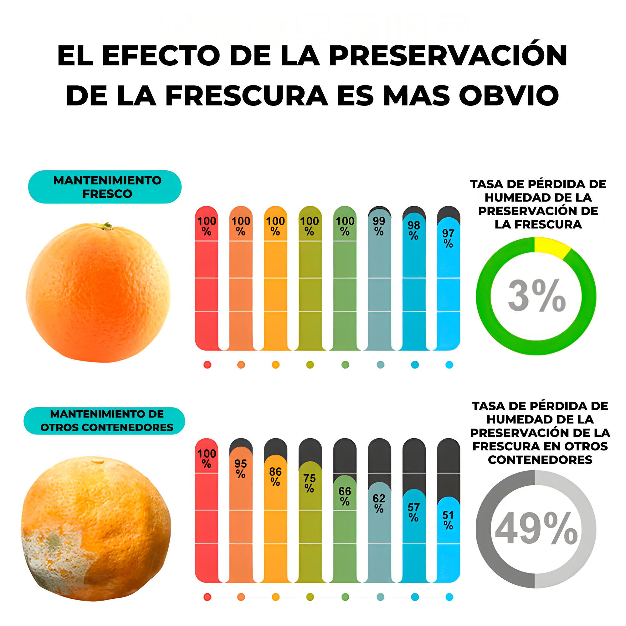 Contenedor Taper Herméticos Plástico 2500ML Comida Almuerzo 5