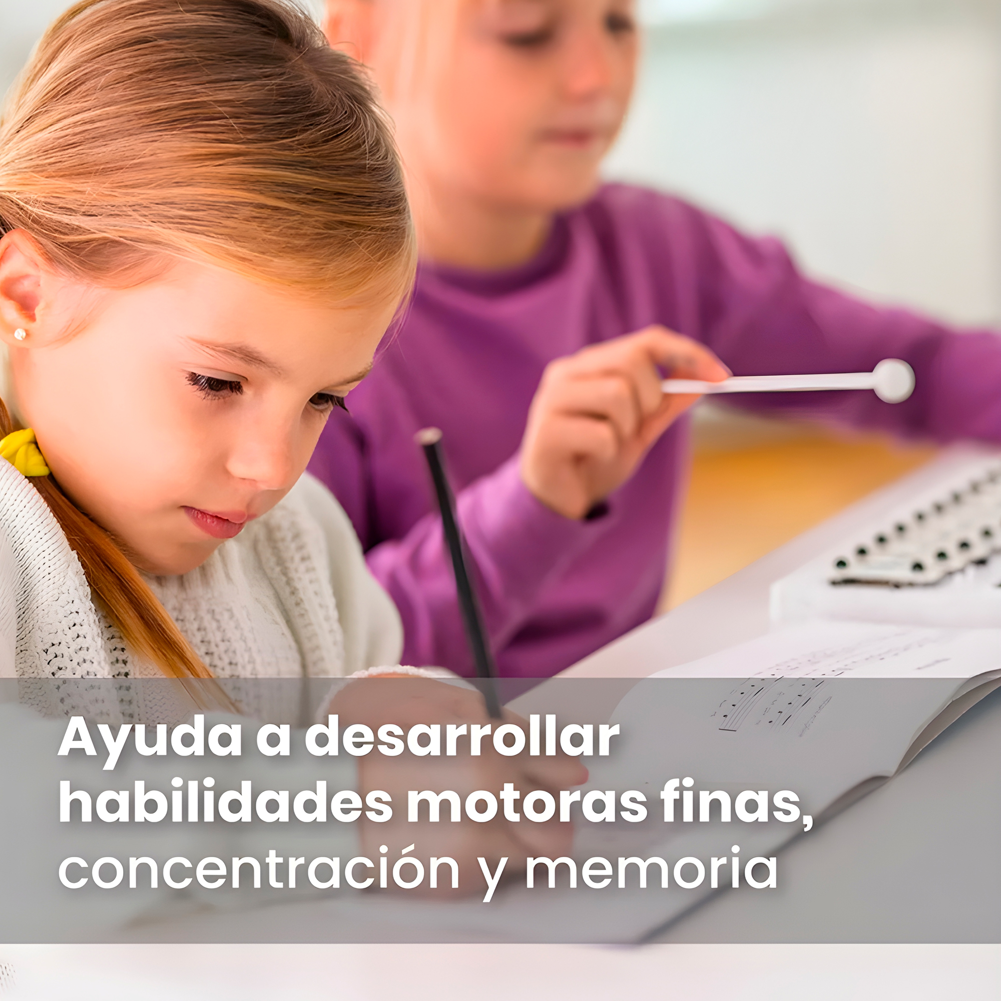 Metalófono Cromático de 25 Notas  18