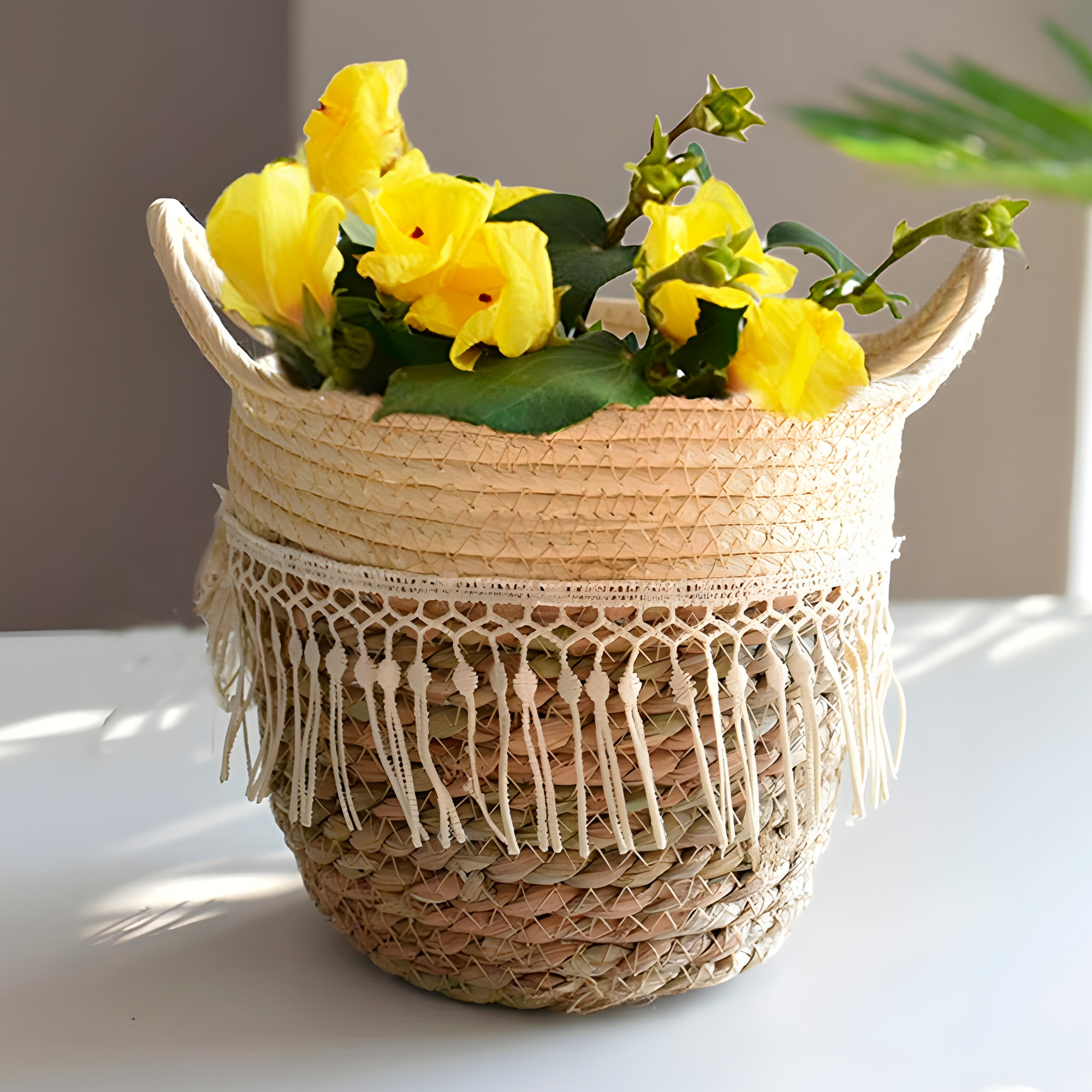 Canasto Macetero Yute Cesta Tejido Beige Hogar 20 X 20 CM 7