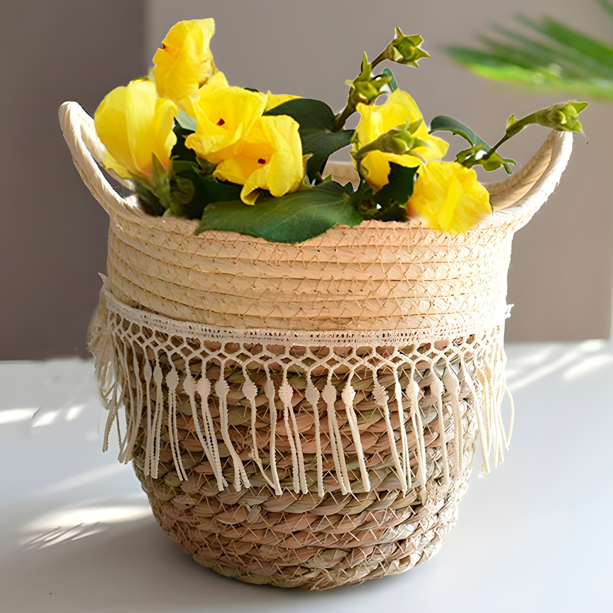 Canasto Macetero Yute Cesta Tejido Beige Hogar 25 X 22 CM 6