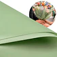 Papel Coreano Arreglos Florales Translúcido 20 pcs Colores 56x54 Cm - Miniatura 43