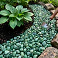 Piedra Semi Preciosa 7 a 9 ml Decoración 100grs Jade - Miniatura 4