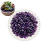 Piedra Semi Preciosa 7 a 9 ml Decoración 100grs Amatista - Miniatura 1