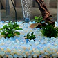 Piedra Semi Preciosa 7 a 9 ml Decoración 100grs Ópalo - Miniatura 2