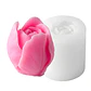 Molde Silicona Rosa Cerrada Aromaterapia Velas 5 X 4,8 CM - Miniatura 1